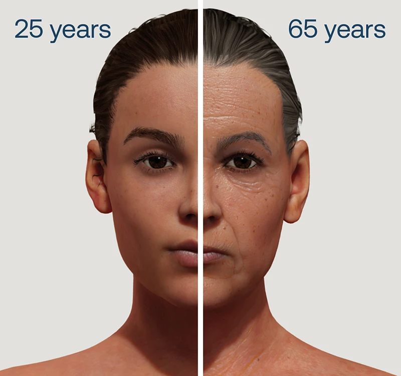 Comparison pictures showing the differences between 25 years and 65 years.