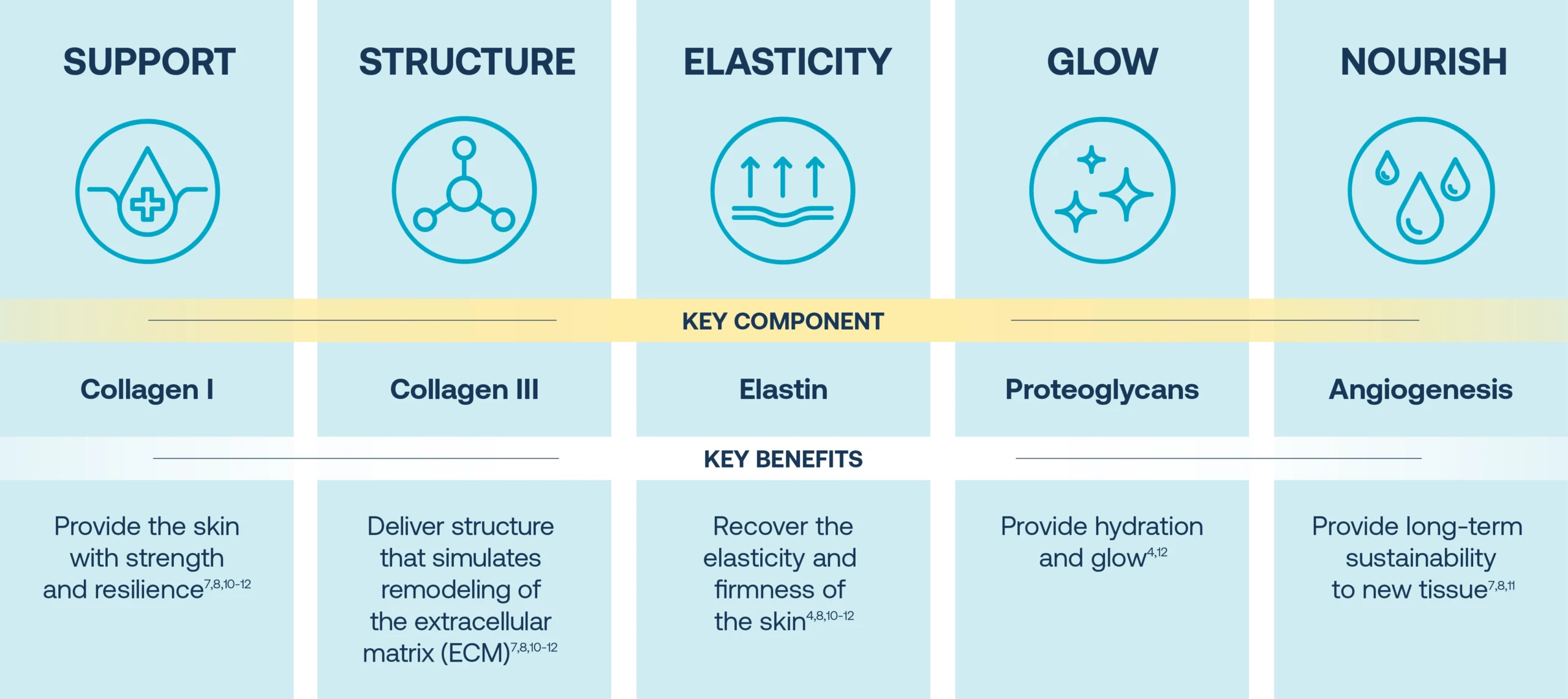 Chart showing support, structure, elasticity, show, and nourish.